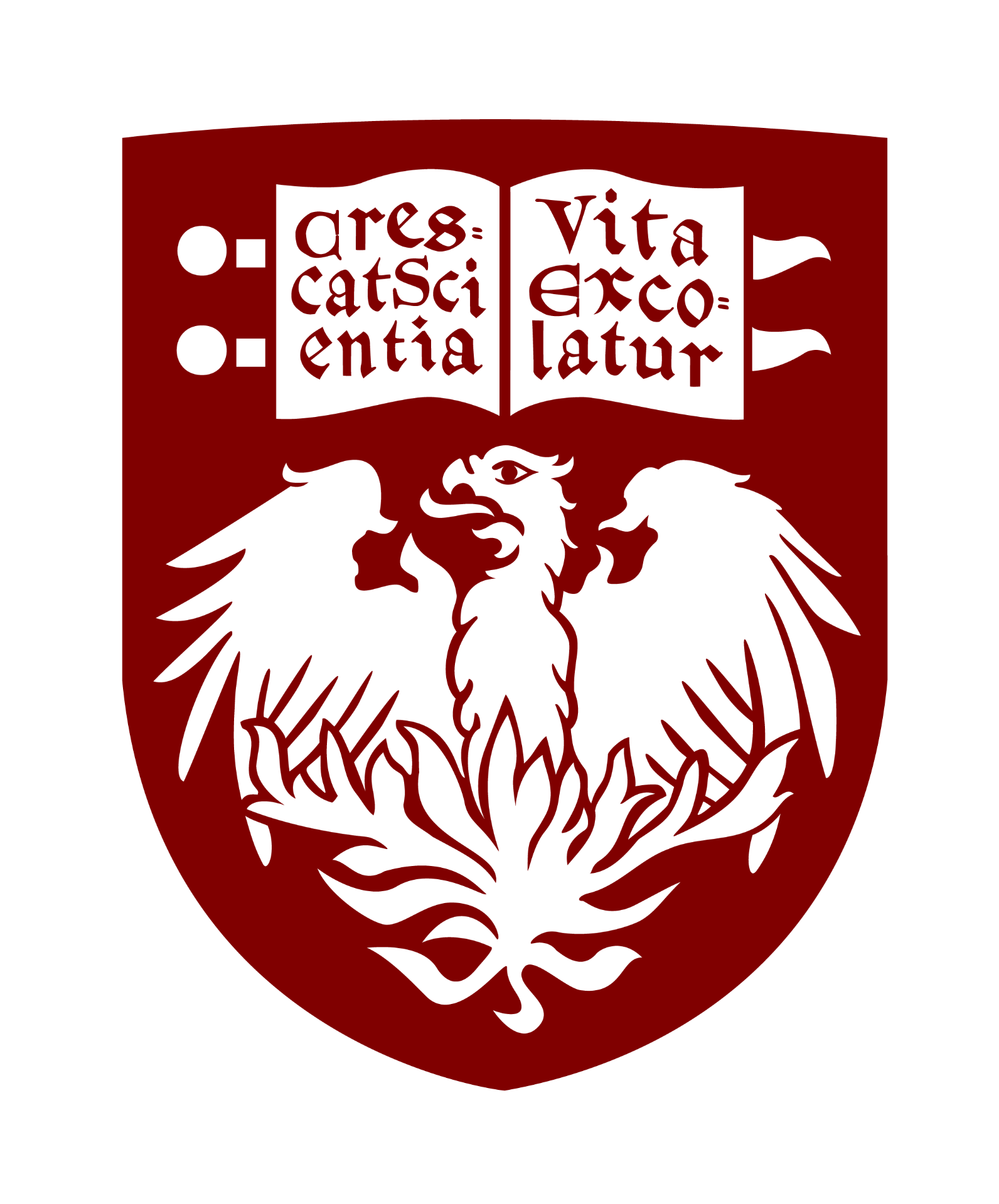 University of Chicago logo